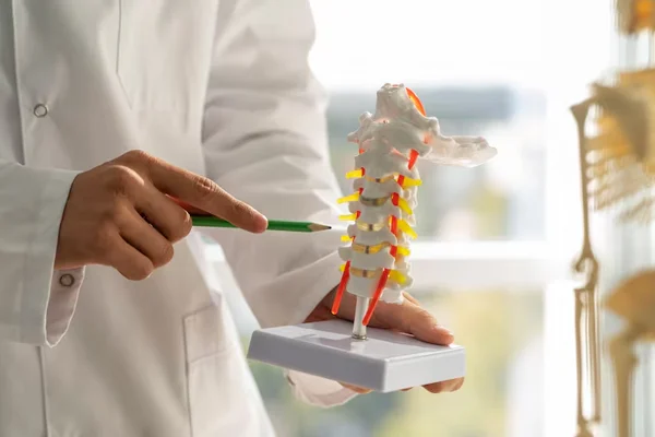 Navigation Guided Spine Surgery